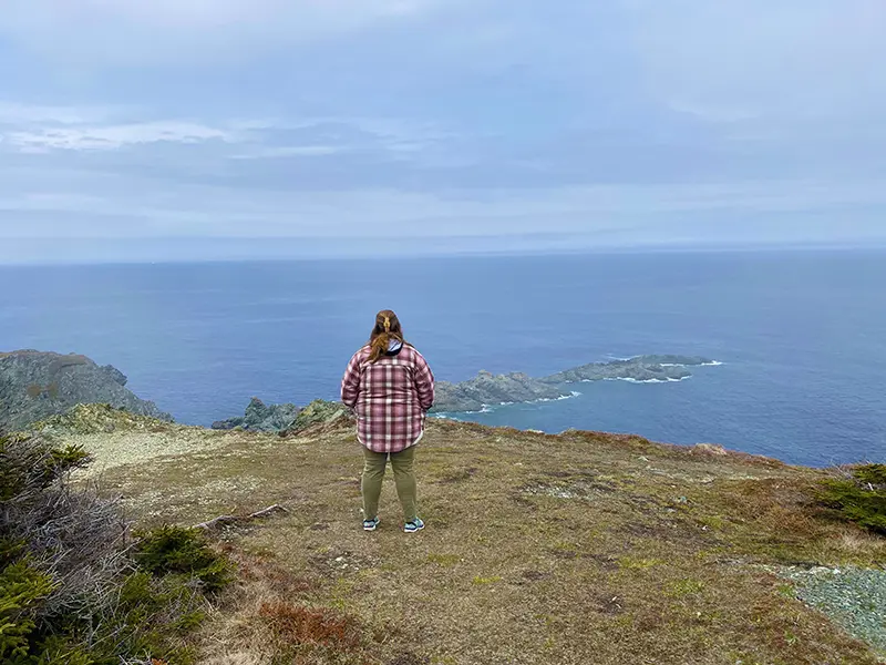 cape-spear A person stands on a cliff, overlooking a vast ocean under a cloudy sky. The landscape is rugged and expansive.