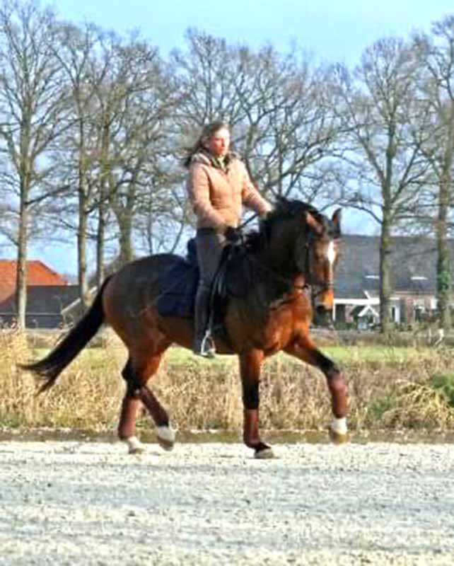 Cydney riding a horse