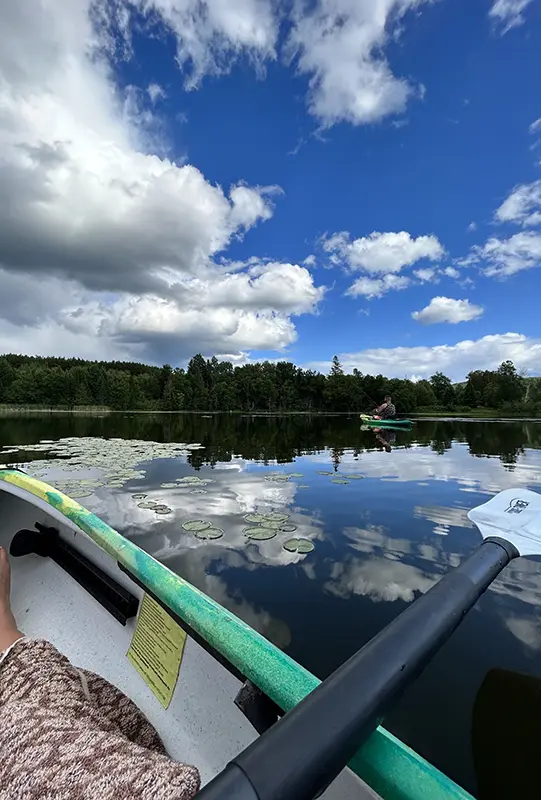 A person kayaks on a calm lake surrounded by trees, under a partly cloudy sky. Reflections and lily pads enhance the tranquil scene.